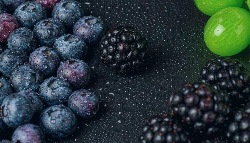 Bulk Vape Ocean Freight Sourcing: Margin and Resale Pricing — Bulk Vape Goods Ocean Freight Wholesale