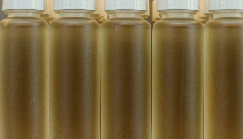 Bulk Vape Goods Ocean Freight packaging detail
